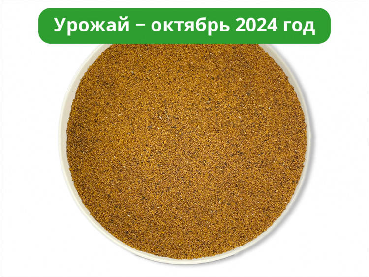 Чага дробленая