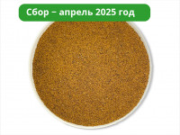 Чага дробленая