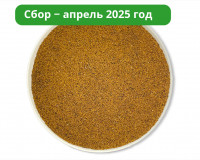 Чага дробленая