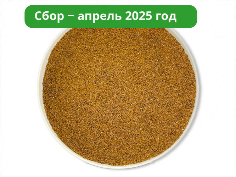 Чага дробленая