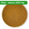 Чага дробленая