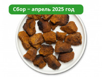 Чага (Березовый гриб). Кусковая