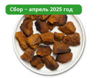 Чага (Березовый гриб). Кусковая